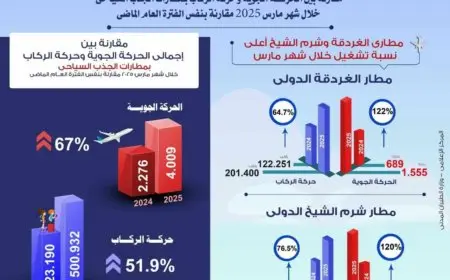 انتعاش ملحوظ في مطارات السياحة المصرية.. زيادة حركة الطيران بنسبة 67% في مارس 2025