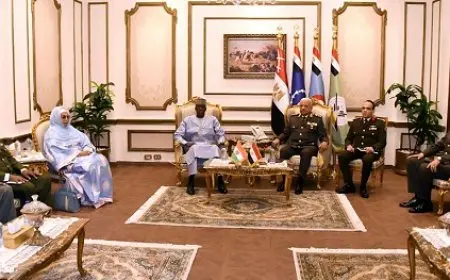 وزير الدفاع يجتمع مع وزير دفاع جمهورية النيجر لمناقشة مستجدات الأوضاع الإقليمية والدولية