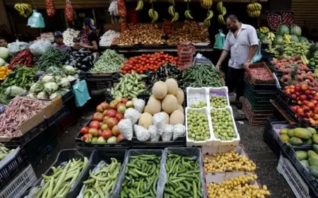 وزير الزراعة: انخفاض الأسعار خلال رمضان نتيجة التوسع الزراعي.. وهدفنا الوصول إلى 10 ملايين طن من القمح هذا العام