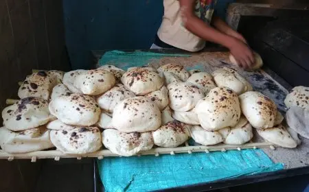 شعبة المخابز: عدم وجود زيادة في سعر رغيف الخبز البلدي المدعوم