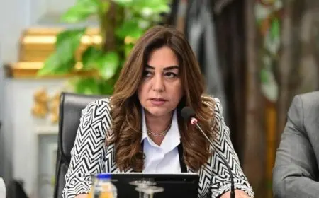 التنمية المحلية: اتخاذ إجراءات فورية لتنظيم تعريفة الركوب بعد ارتفاع أسعار الوقود