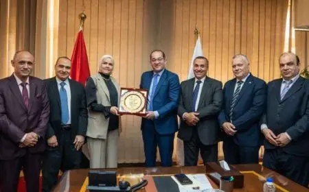 وزير المالية يكرم 7 من القادة الضريبيين المتميزين في 5 محافظات