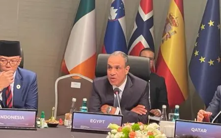وزير الخارجية المصري يعلن رفض مصر التام لأي محاولات لتغيير الواقع الديموغرافي في غزة