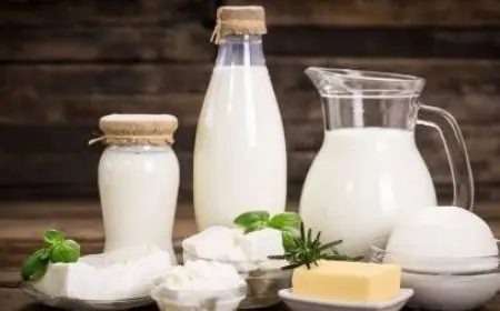 ارتفاع متوقع في أسعار الألبان والجبن بنسبة 30% بعد زيادة أسعار الوقود