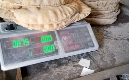 شعبة المخابز: تقليص وزن الرغيف بمقدار 20 جرام قد يمثل خياراً بدلاً من زيادة الأسعار