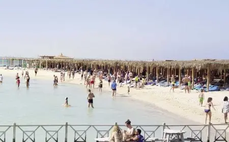 السياحة الأوروبية تجذب الزوار إلى مرسى علم.. 173 رحلة و35 ألف سائح في أسبوع واحد