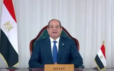 الرئيس السيسي ونظيره الإندونيسي يتباحثان حول تعزيز التعاون الثنائي وآخر المستجدات الإقليمية