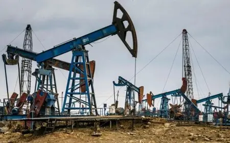 وزارة البترول تعلن عن ثلاث اكتشافات جديدة للنفط والغاز في الصحراء الغربية