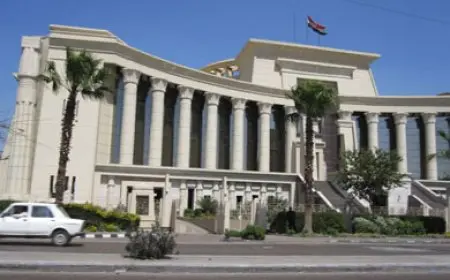 المحكمة الدستورية العليا تلغي قرارًا مخالفًا لمبادئها حول مسائل الحضانة