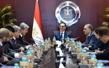 وزير الاستثمار يلتقي رئيس مجلس إدارة شركة يازاكي اليابانية لمناقشة مشروع الشركة في السوق المصري