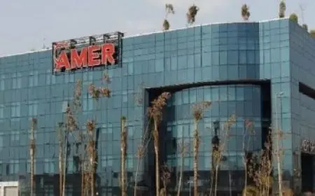 12 بنكًا يساهمون في المرحلة الثانية من مشروع رقمنة تحويلات المغتربين