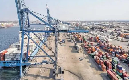 مصدرون: آفاق واعدة لصادرات المواد الغذائية والملابس والنسيج إلى السوق الأمريكية