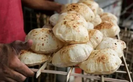 وزارة التموين: الدولة تتحمل فارق تكلفة الخبز المدعم وإنشاء لجنة لمراجعة تسعير الرغيف السياحي.