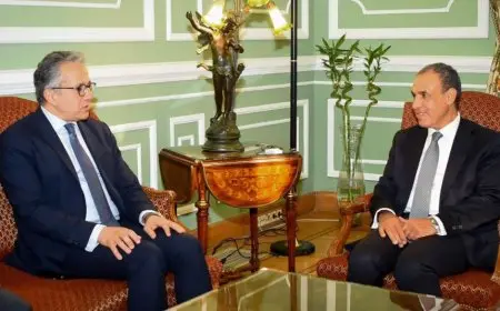 وزير الخارجية يستقبل خالد العناني المرشح المصري لمنصب مدير عام اليونسكو