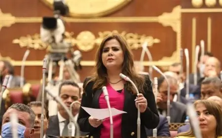 النائبة أمل رمزي: زيارة رئيس إندونيسيا تمثل تحولاً استراتيجياً وتبرز مكانة مصر المركزية