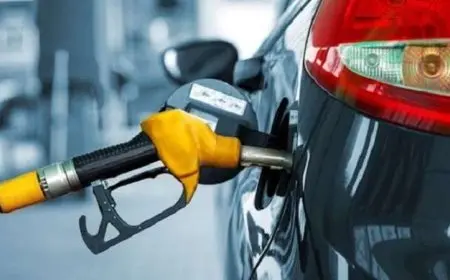 شعبة المواد البترولية: أسباب ارتفاع الأسعار محلياً رغم انخفاضها عالمياً، ولن نشعر بالتغيير قبل يوليو