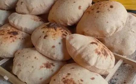 شعبة المخابز تؤكد: زيادة أسعار الخبز السياحي لن تتجاوز 25%