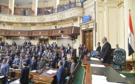 جبالي يترأس الجلسة العامة ويحول اتفاقيات ومشروعات قوانين إلى اللجان المختصة