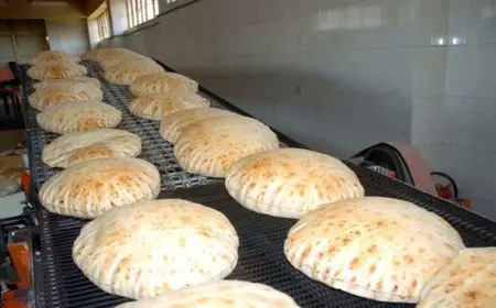 شعبة المخابز تؤكد: لا توجد نية لتقليص وزن الرغيف أو زيادة سعره