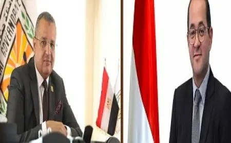 يصل حجم التعاون الاقتصادي بين مصر وقطر إلى مليارين و165 مليون دولار خلال فترة رئاسة السيسي.