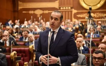 محمود فوزي: الحكومة تسعى لتخفيف أعباء التقاضي على المواطنين والقضاة