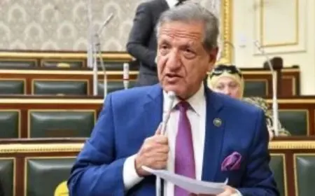 فخري الفقي: الدين المحلي يشكل ثلثي الدين العام والحكومة تستحق 659 مليار جنيه من جهة أخرى