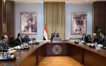 مدبولي يجتمع مع مسؤولين من مجموعة المنصور للسيارات لمناقشة إنشاء مصنعها الجديد في مدينة أكتوبر الجديدة وآخر لإنتاج فلاتر المركبات في العاشر من رمضان