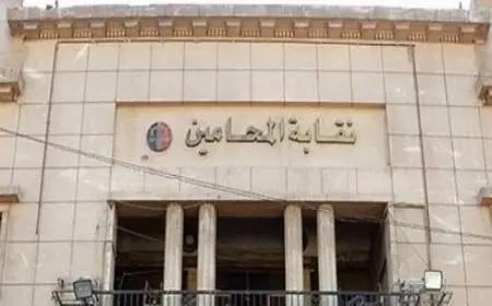 عضو بنقابة المحامين: المحامون في معظم المحافظات شاركوا في الوقفة الاحتجاجية ضد الرسوم القضائية