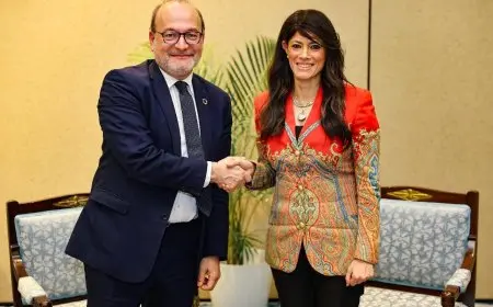 المشاط تناقش مع مدير الوكالة الفرنسية للتنمية آفاق العلاقات المصرية الفرنسية