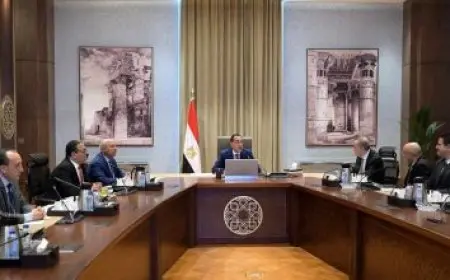 بعد تلقيها منحة لدراسة البرمجة.. الطالبة السورية عبد النبي توجه رسالة إلى رئيس الوزراء