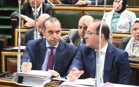 المستشار محمود فوزي: مجلس النواب يتابع صرف الأموال العامة بشكل مثالي