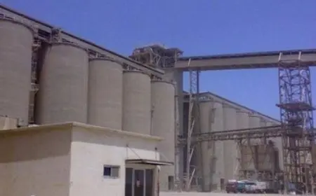 مطاحن شرق الدلتا تقوم ببيع جميع أصولها في سيناء