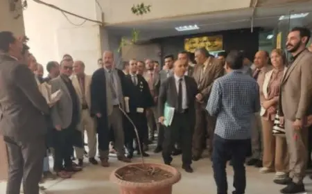 وقفات احتجاجية في محاكم المنيا الجزئية تنديدًا بزيادة الرسوم القضائية