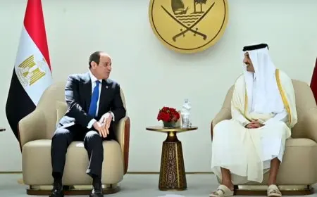 السيسي يشدد على أهمية تعزيز الاستثمارات القطرية في مصر خلال لقاء بالدوحة