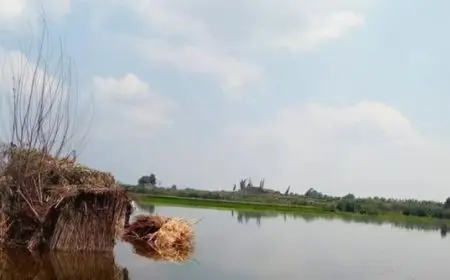 ارتفاع منسوب النيل يسبب غمر بعض الأراضي: ظاهرة طبيعية تتكرر سنويًا