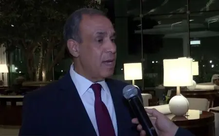 وزير الخارجية: نحن نعمل بجد للعودة إلى اتفاق وقف إطلاق النار في غزة