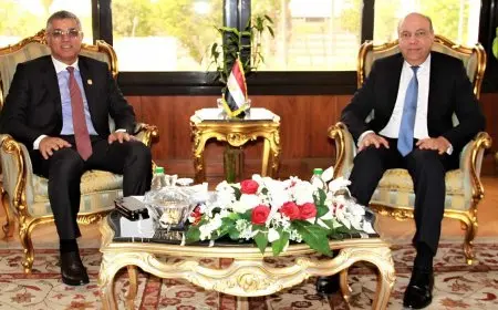 وزير الطيران يرحب برئيس المنظمة العالمية للأرصاد الجوية لتعزيز سبل التعاون