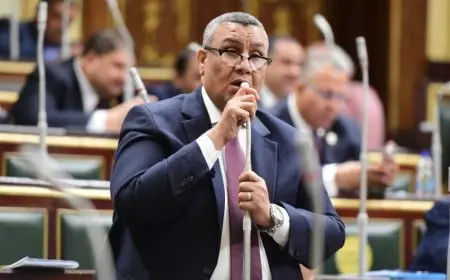 النائب مصطفى سالم: وجود مؤشرات إيجابية في الحسابات الختامية للموازنة.. وأطالب الحكومة بالرد على ارتفاع المتأخرات الضريبية