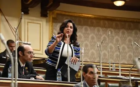 النائبة أميرة العادلي ترفض الحساب الختامي للموازنة: الأرقام تشير إلى إدارة سيئة