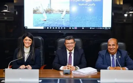رانيا المشاط: نهدف إلى تحويل هيكل الاقتصاد المصري نحو القطاعات القابلة للتداول والتصدير