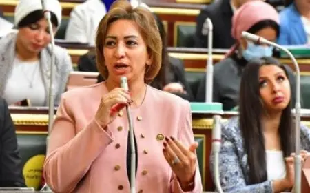 النائبة مها عبدالناصر تفسر سبب اعتراضها على الحساب الختامي: القروض غير مُستخدمة والمنح غير مُستغَلّة