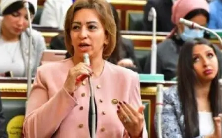 ضياء رشوان: مفاوضات وقف إطلاق النار في غزة ستشهد تقدمًا إيجابيًا بفضل جهود مصر وقطر