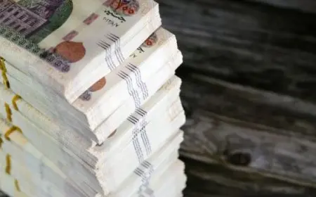 ودائع العملاء في البنوك تصل إلى 13.6 تريليون جنيه بنهاية ديسمبر