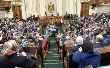 وزير المالية للنواب: القطاع الخاص في الصدارة الآن.. والتضخم انخفض إلى 13%