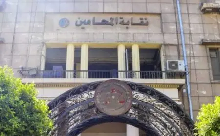 نقابة المحامين: الأعضاء ملتزمون بوقف أي توريد مالي إلى خزائن محاكم الاستئناف ومأمورياتها