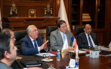 أمانة الدفاع والأمن القومي بحزب الجبهة الوطنية تستعرض قضية البطالة والتعاون مع الأحزاب الفرنسية