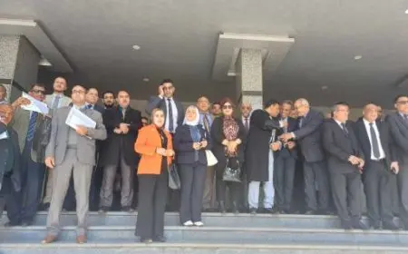 محامو القاهرة والجيزة يرفضون دفع الرسوم في خزائن المحاكم ويتواجدون بانتظام أمام الدوائر القضائية