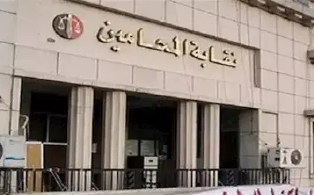 المحامون يرفضون تسليم أي أموال لخزائن محاكم الاستئناف والمأموريات في جميع أنحاء الجمهورية