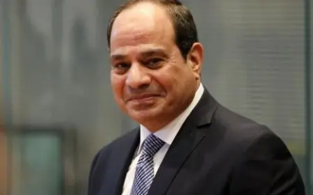 الرئيس السيسي يعود إلى الوطن بعد جولة ناجحة في الخليج تضمنت قطر والكويت