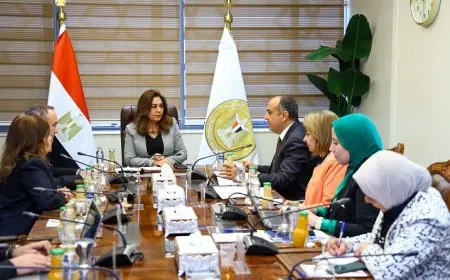 وزارة التنمية المحلية تناقش سبل تعزيز التعاون مع صندوق الأمم المتحدة للسكان لتنفيذ الاستراتيجية الوطنية للسكان
